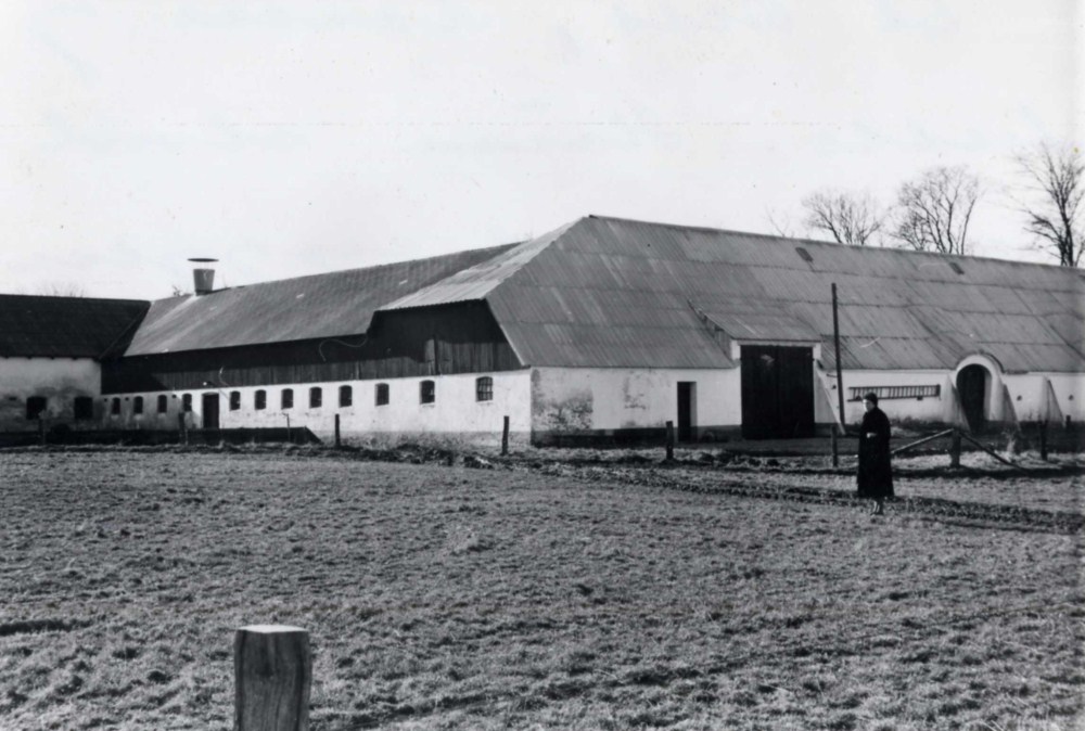Skovsminde 1962
